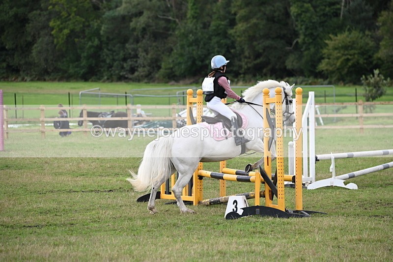 WJ6_1509 - 60cm Time 11:51 to 12:10