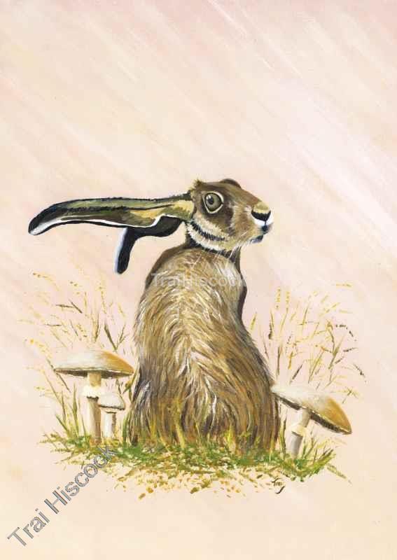 Frutti Del Campi - Wildlife