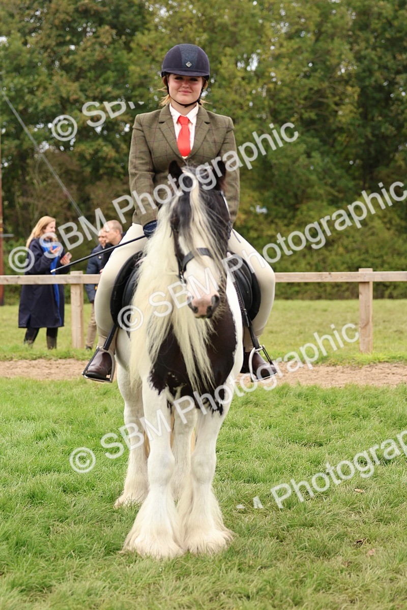 SBM_64603_S58 Coloured Pony Ridden - Kelly