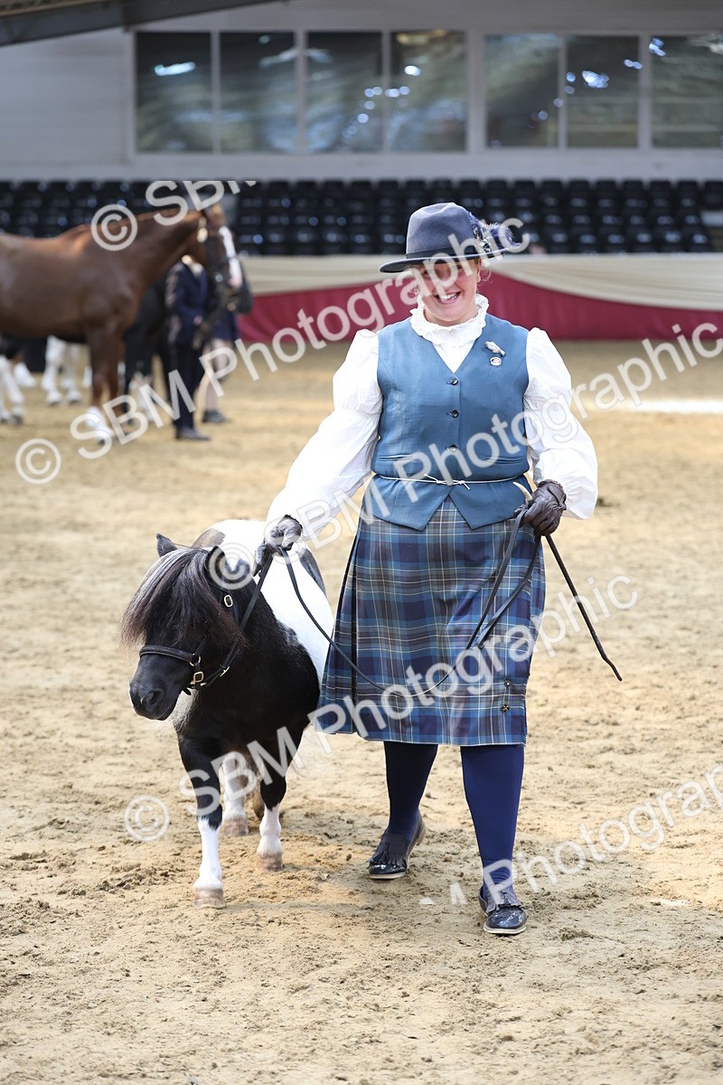 SBM_23332 - Class 903 - Supreme Final - IH Pre Vet