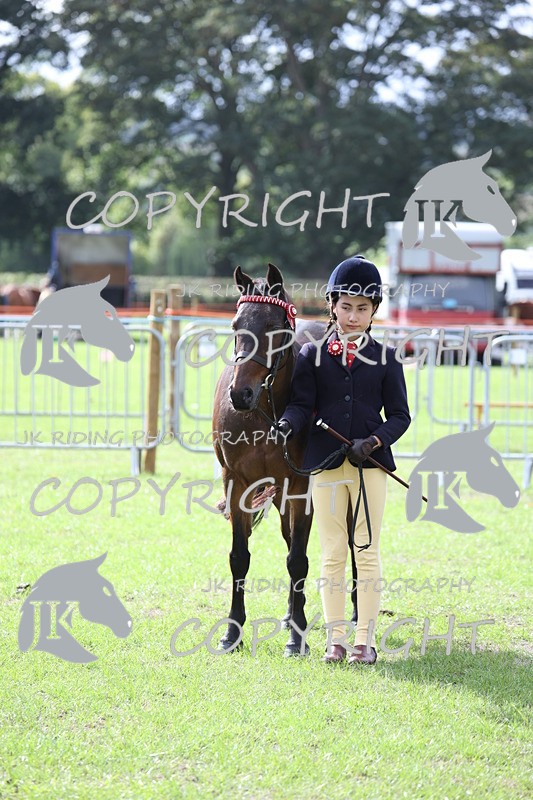 APP_2608 - Class 9 Veterans in hand