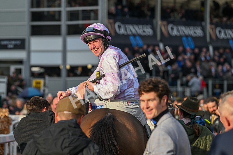 110325-Race 5-Golden Ace-3564 - 11th March