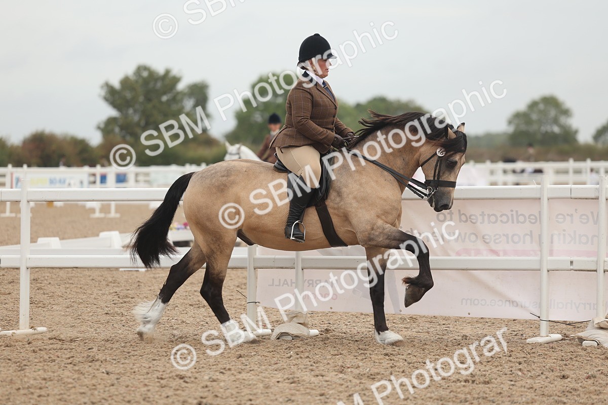 SBM_01889 - Class 14 - Ridden M&M Wildcard