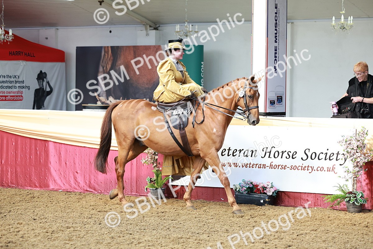 SBM_13530 - Class 105 - Ridden Costume - Side Saddle