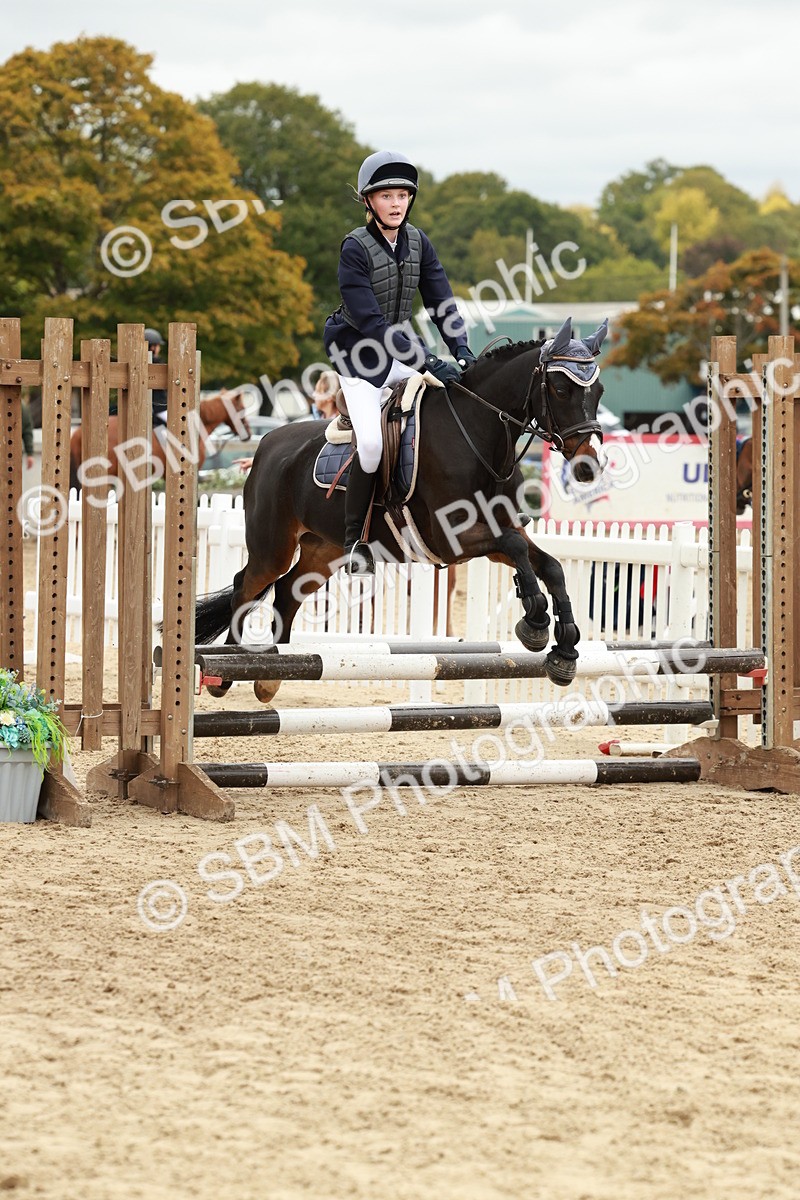 SBM_67142 - J13 - Junior Pony 60cm Championship