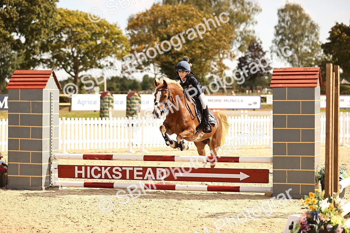 SBM_67022 - J13 - Junior Pony 60cm Championship