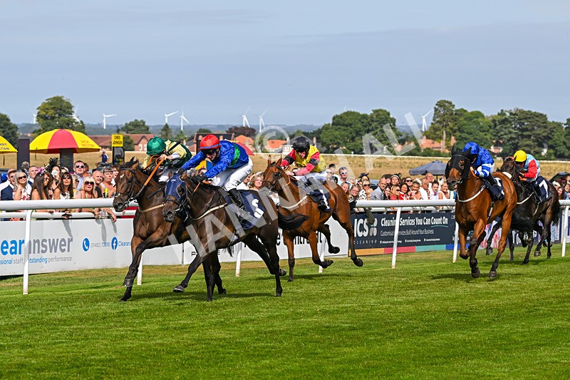 140824-Race 4-Queens Road Revue-6476 - Race 4