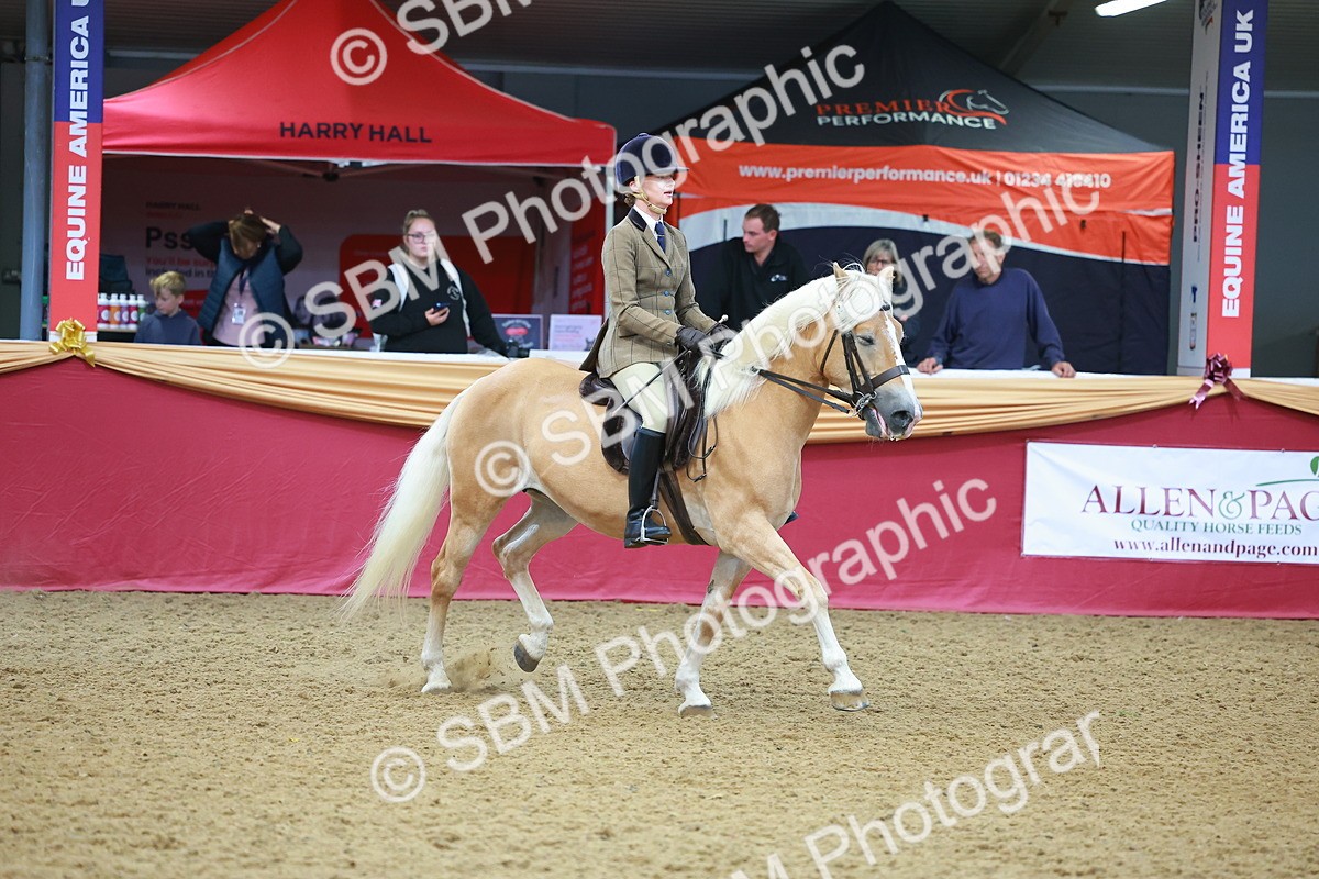 SBM_09782 - Class 102 - HOYS Veteran Qualifier - Ridden Veteran