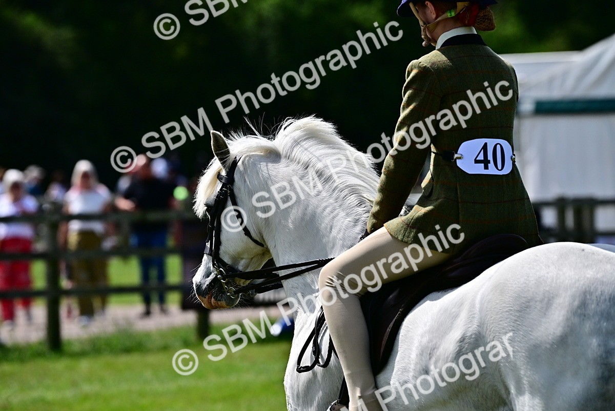 SBM_03811 - Class 58 - TSR  Ridden Veteran Amateur of the year