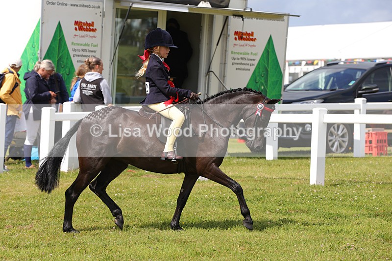 1X9A3785 - Class 30: First Ridden SP/SHP