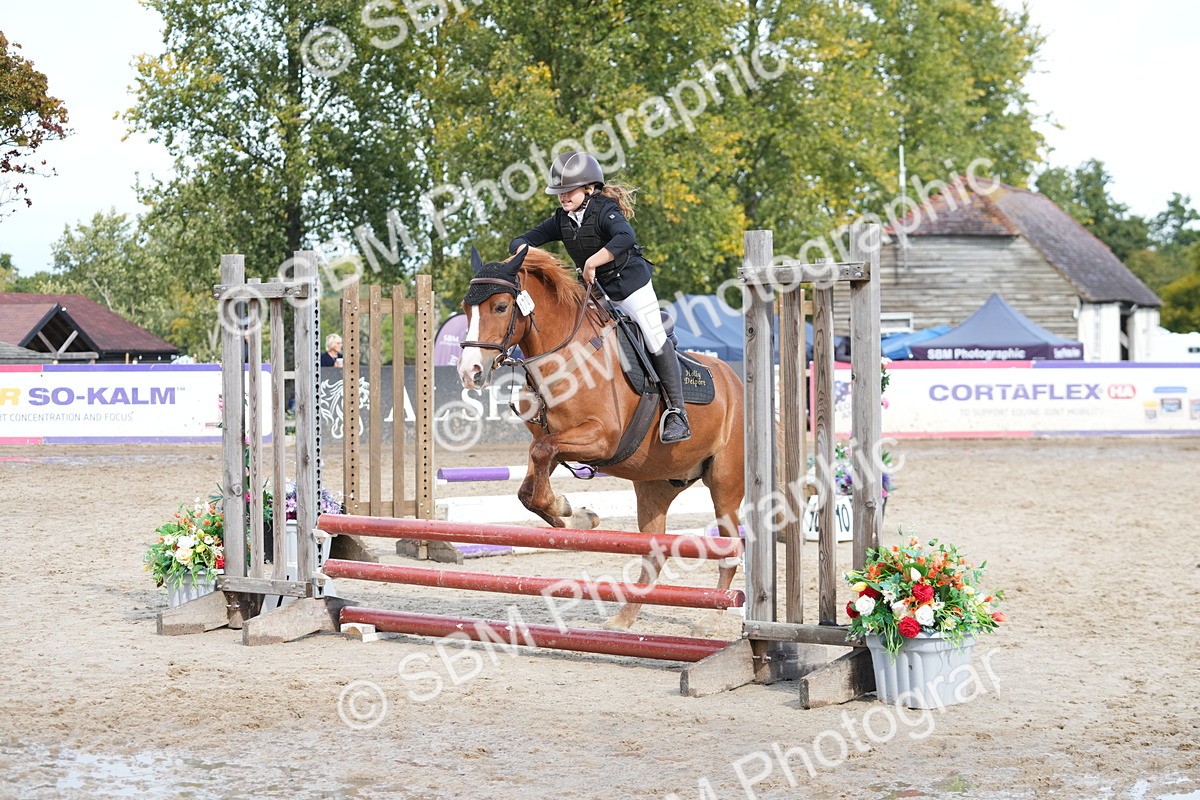SBM_39618 - J6 - Junior Pony 55cm Championship