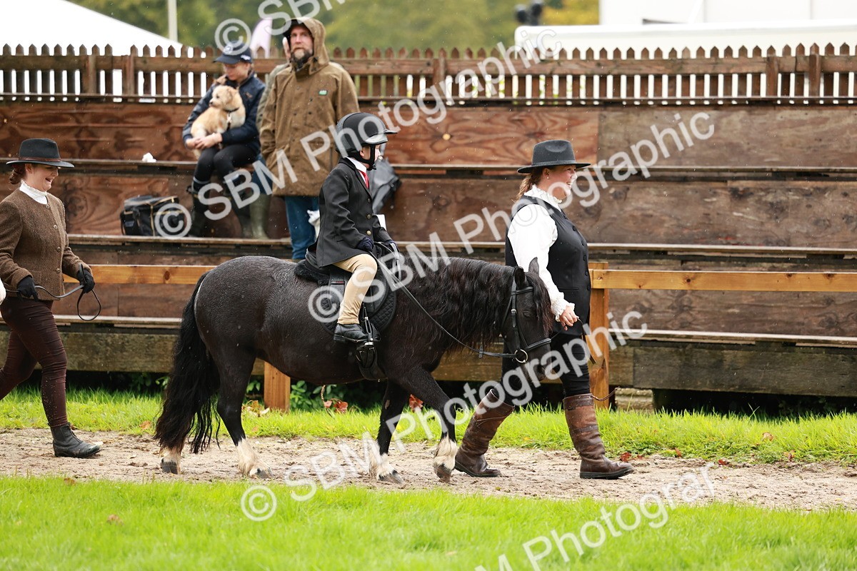 SBM_33739 - S9 - Lead Rein Equitation