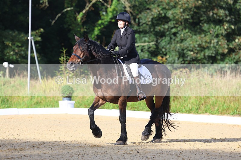 3E7A1840 - Class 1: Intro 4 2024 section A