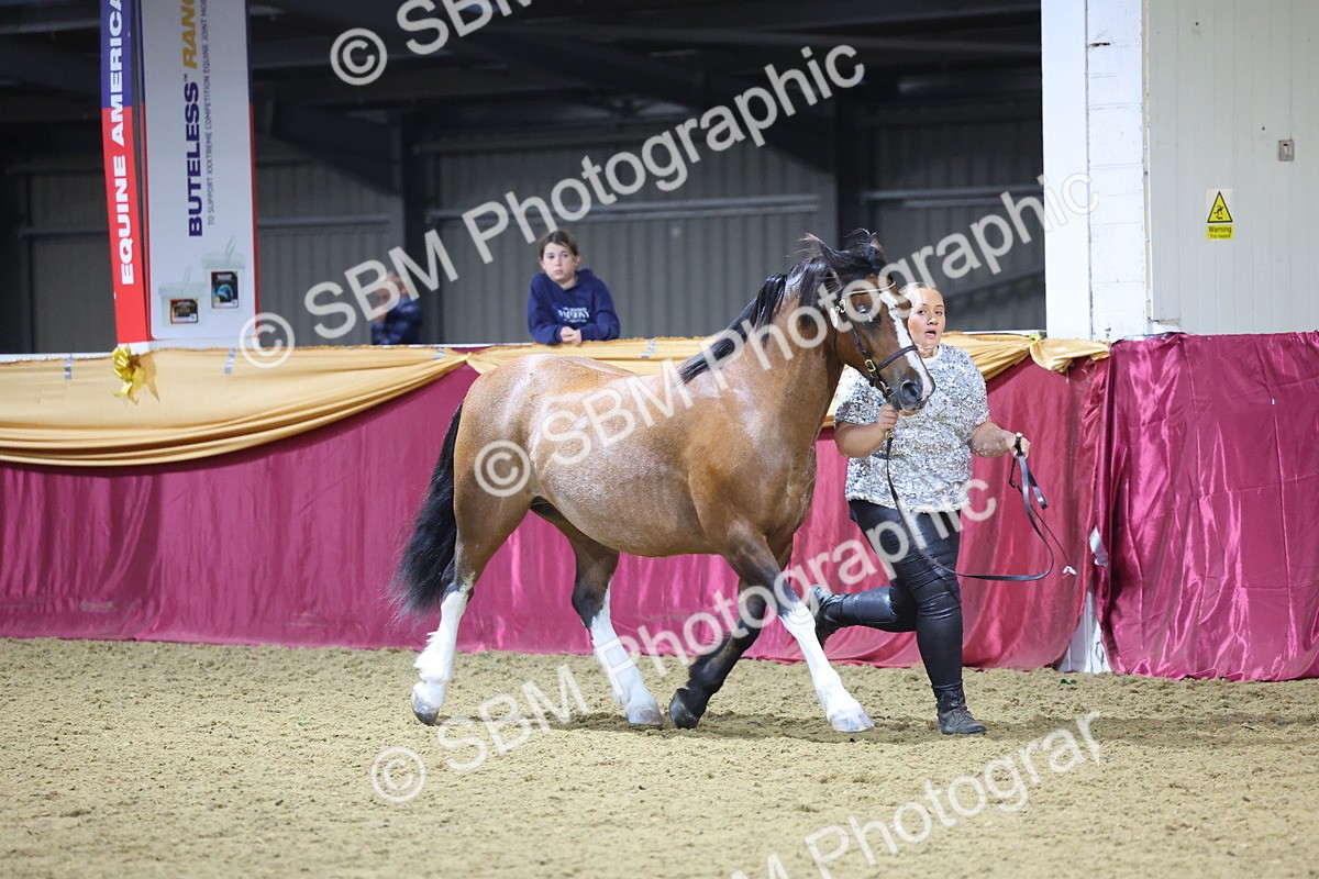 0B8A4403 - Class N M&M Champ