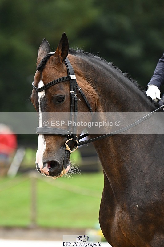 240811-100906-04946 - 170-Rebecca.Lee-Woolf-Fire