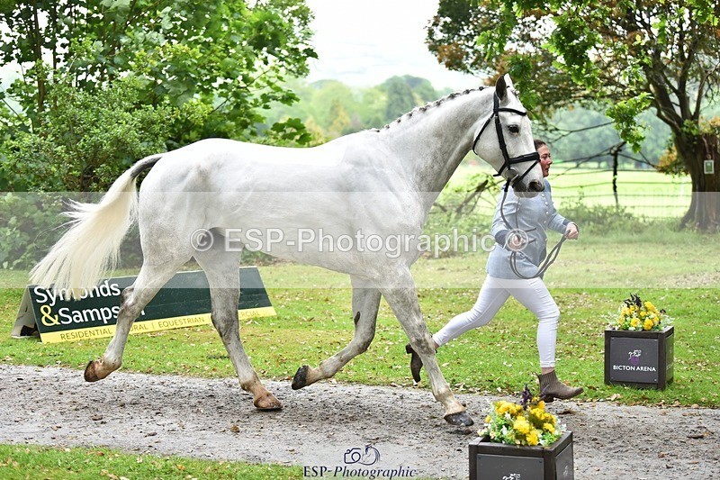 240522-165146-01211 - 225-SLEEHAUN_DANCER-Megan_Lawrence