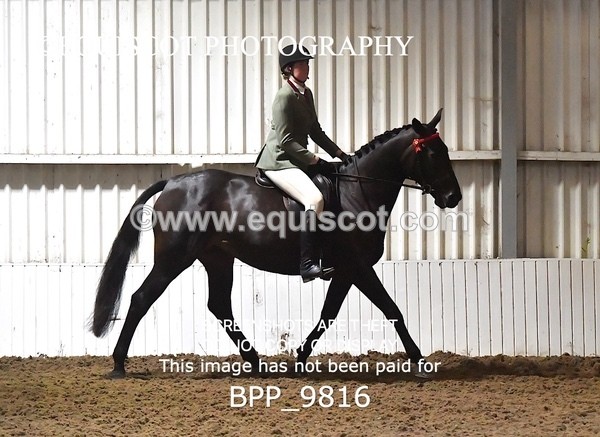 BPP_9816 - RING 2