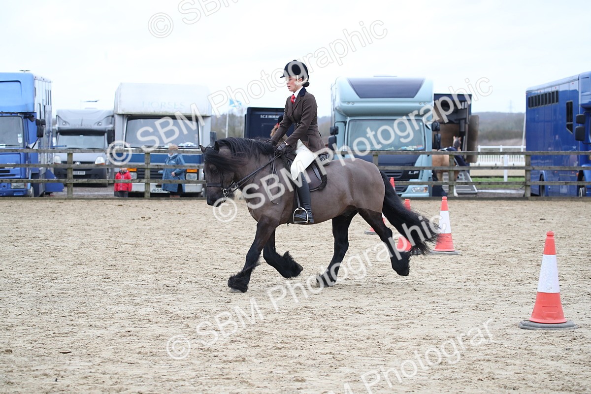 SBM_006369 - Class 10-13 - RIHS Small Large Breeds