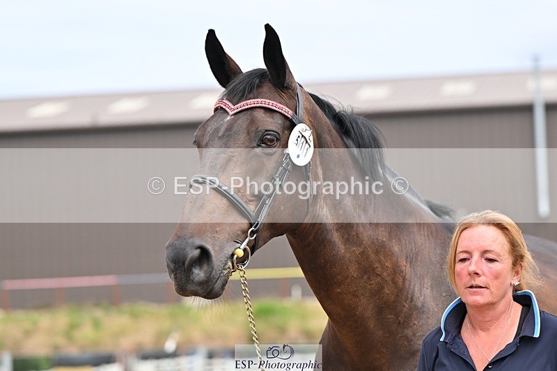 250716-153759-02065 - Trot Up 3.30 to 4.30