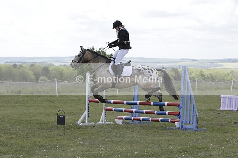 BVHT 140517 N-376 - Class 2 SJ Novice 14/05/17
