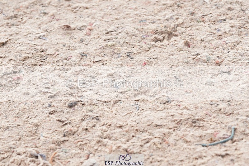 250425-094642-08359 - Cls 30 Young Horse 6yr old