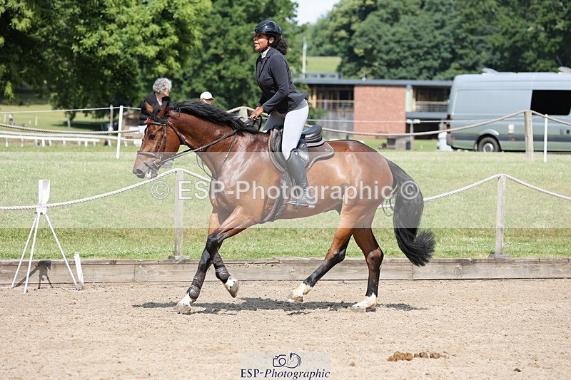 250614A-104626-05786 - Cls 26 British Novice and 90cm Open