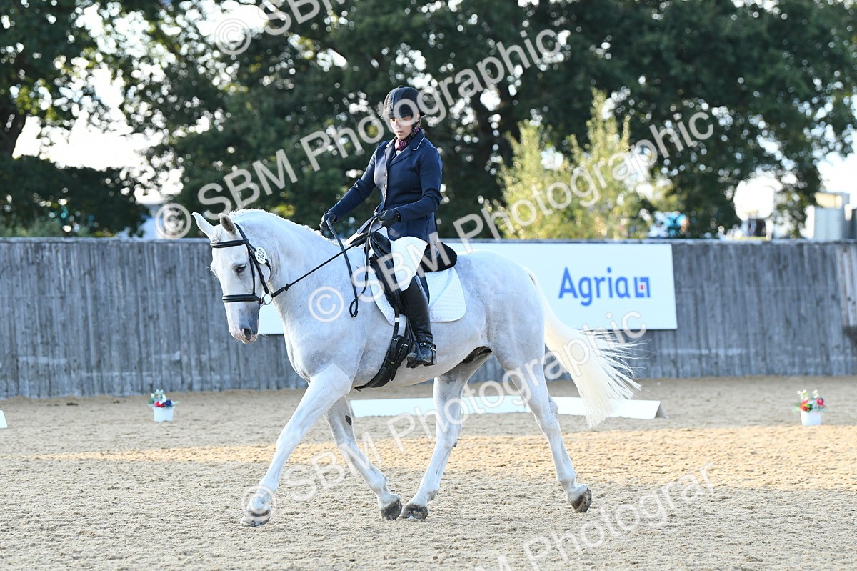SBM_30879 - D16 - Small Tour Championship - Novice 28