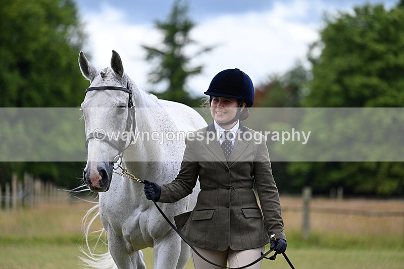WJ7_6984 - Class 5a Most Handsome Gelding in Hand