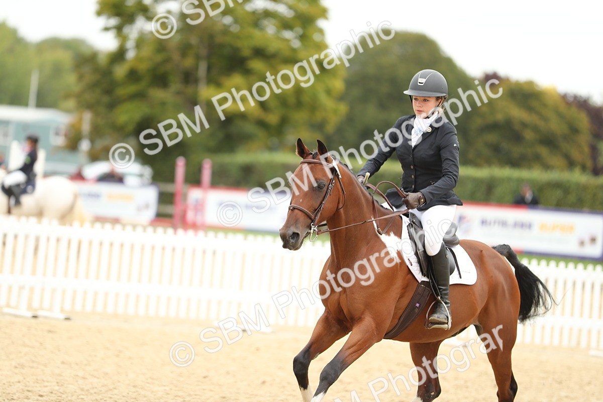 SBM_63100 - Supreme championship 75cm 80cm