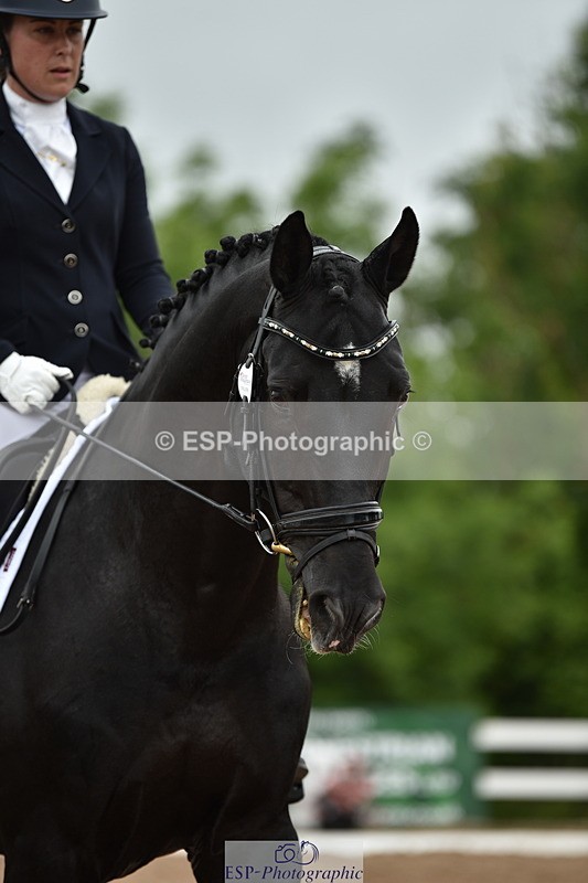 240623A-114156-17278 - Cls 47 BD Novice 22