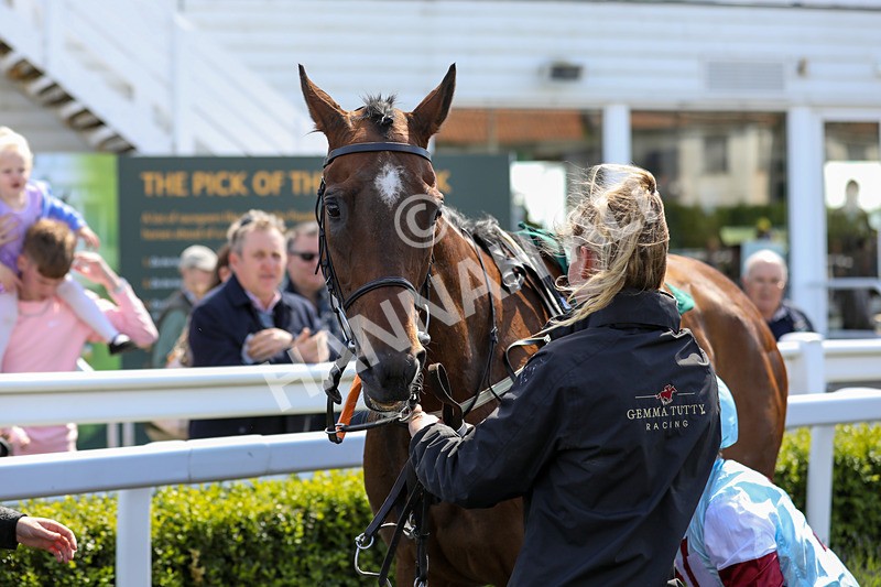 080624-Race 2-Patontheback-4686 - Race 2