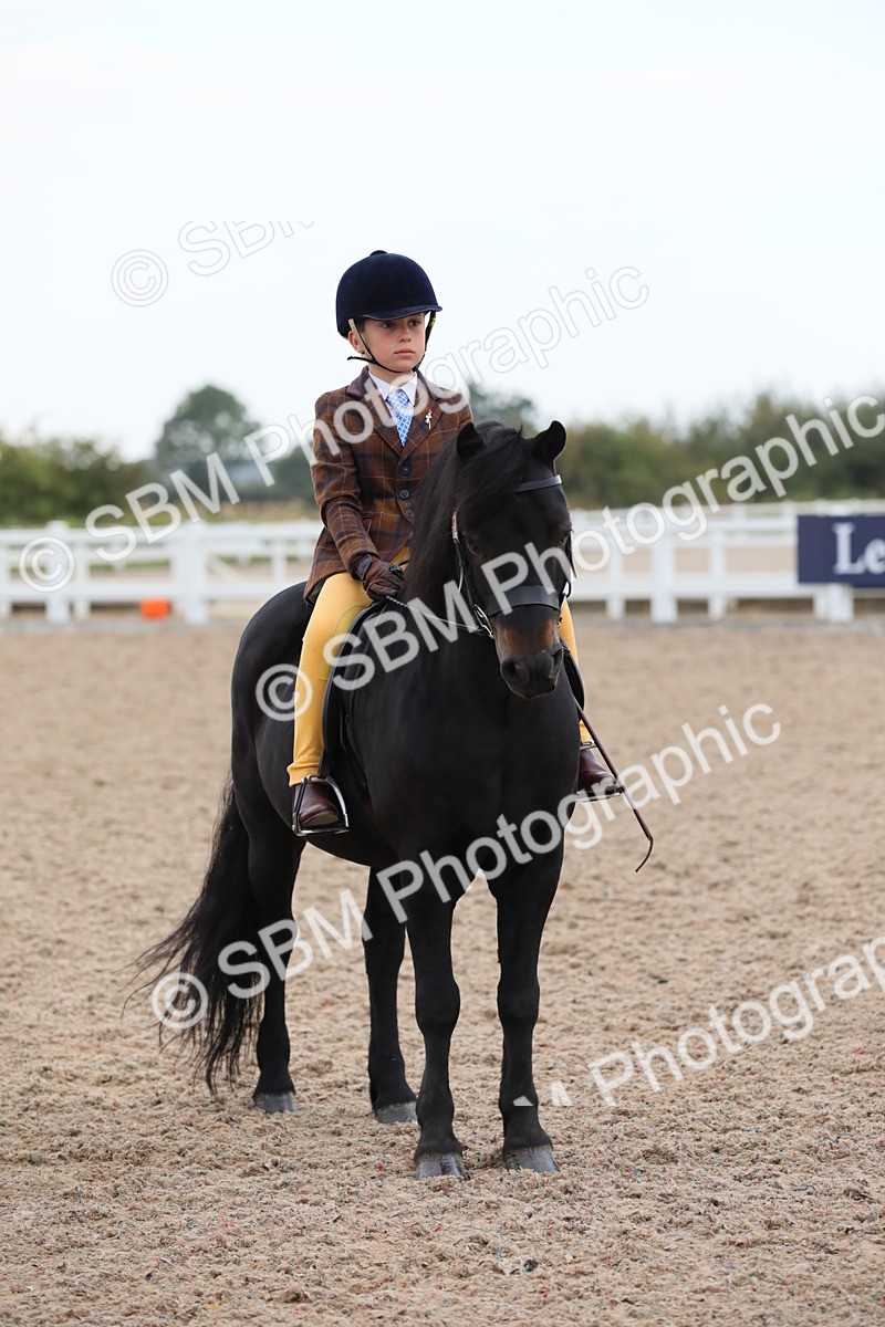 SBM_18192 - Class 316 Best Pony/Rider Combination