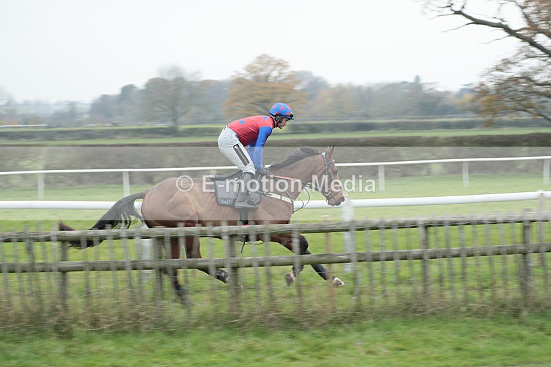 PtP 041222 0180 - Wheatland  Hunt PtP Chaddesley Corbett, Worcs 04/12/22