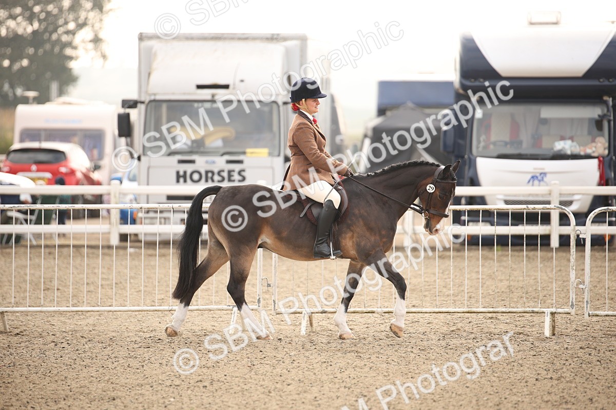 SBM_09812 - Class 401 Riding Club Pony