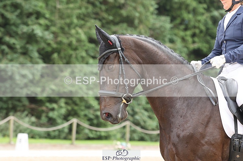 240810-135558-03532 - 125-Abby.Strong-Nps.Harper