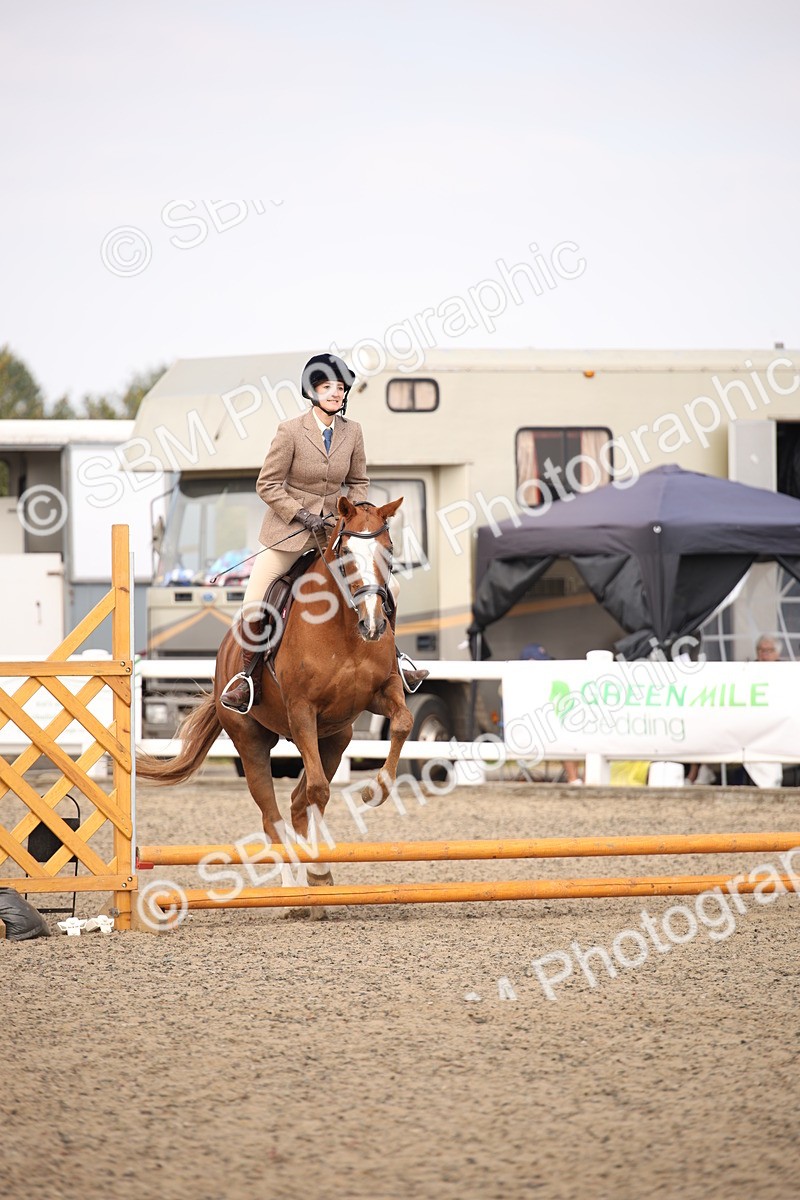 SBM_13591 - Class 406b - Working Veteran 50cm (20+)