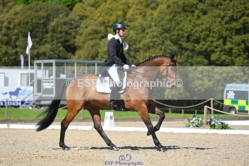 230526-161817-07330 - 255-HI_MR_HENRY-Henry_Hobby-WEDTrotUp+DR