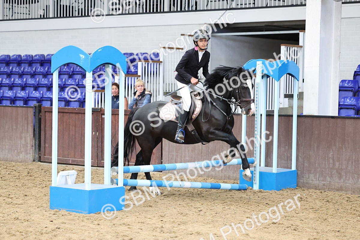 SBM_007699 - Class 3 - 60cm showjumping