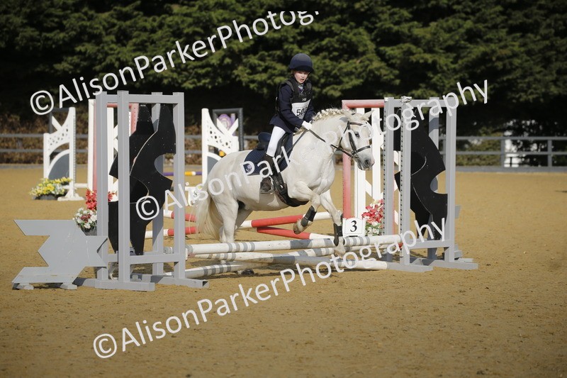 20250622-1149 - 40cm