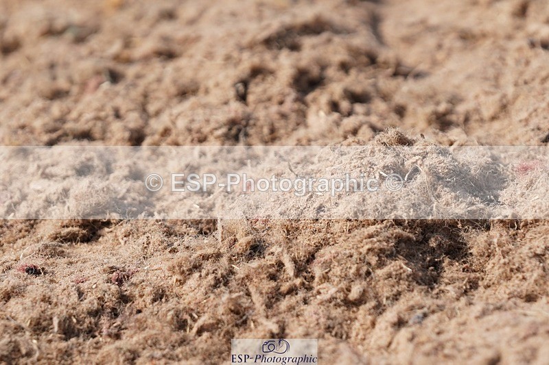 250621-163504-09735 - RoR Cls 4b-4c, Prelim