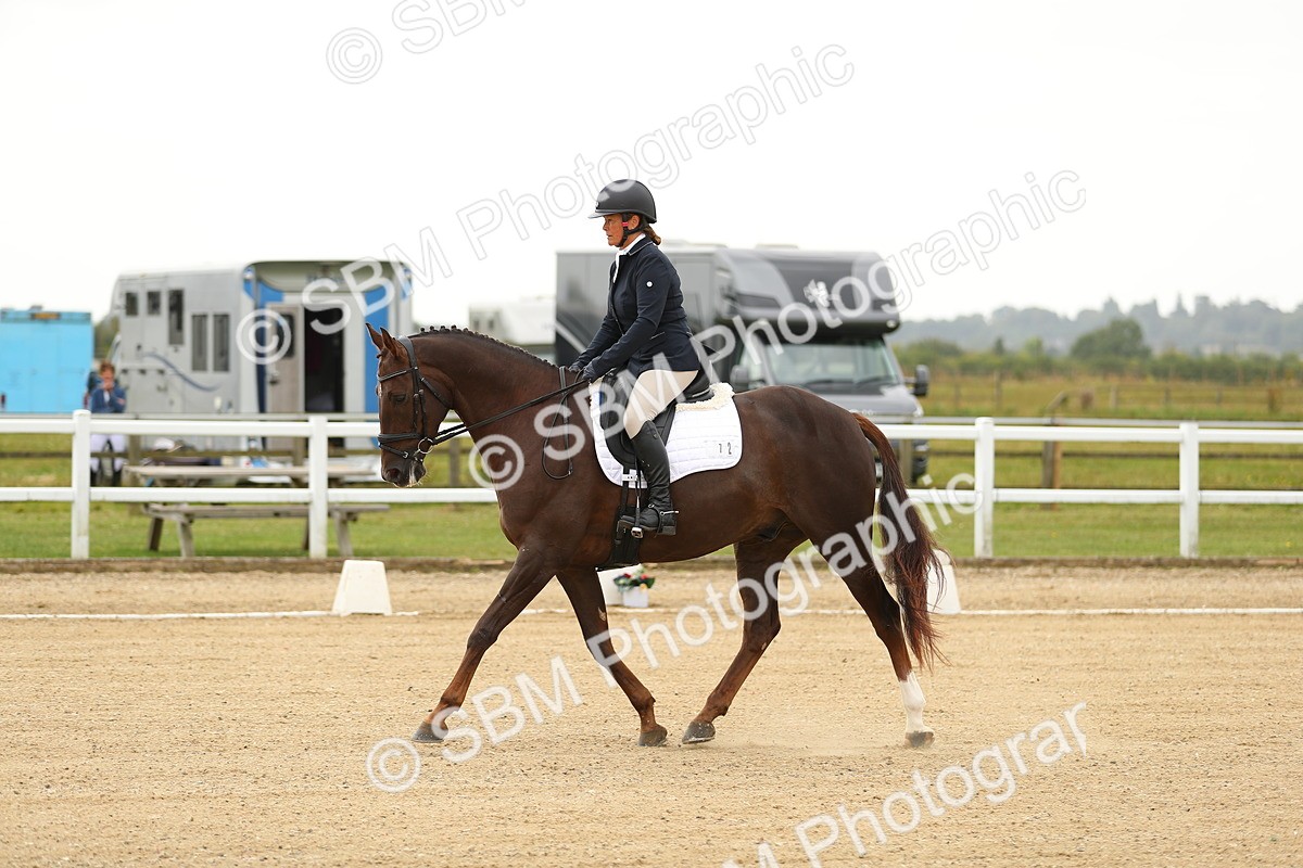 SBM_017225 - Class 13 - Novice 23 - 13.31-14.13