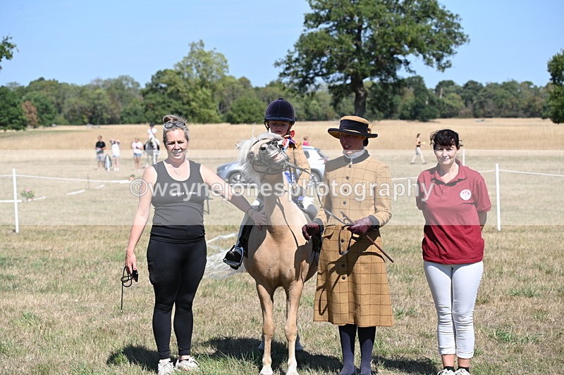 WJ6_8139 - Class 36 Lead Rein