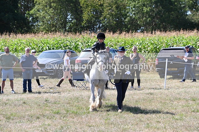 WJ6_7927 - Class 36 Lead Rein