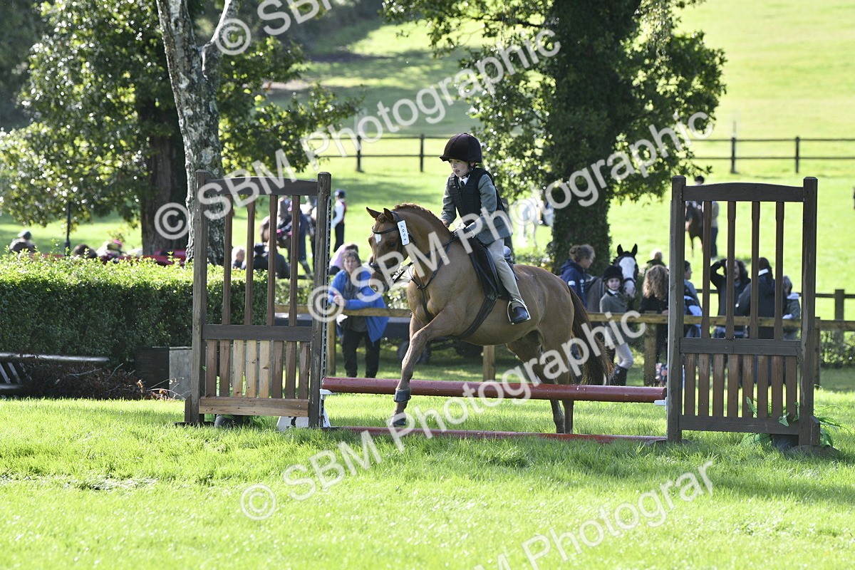 SBM_38175 - S31 - Novice & Newcomer Working Hunter Pony