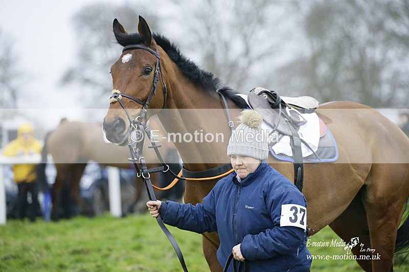 PtP 200222 637 - Countryside Alliance PtP Badbury Rings 20/02/22