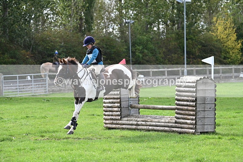 WJ7_8473 - 60cm Pairs