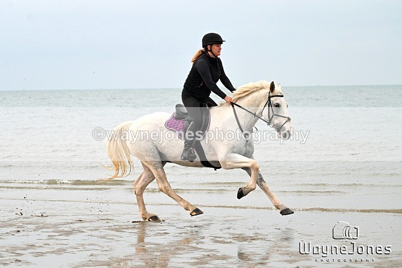WJ7_9032 - Hayling Island Beach Shoot 22-09-24