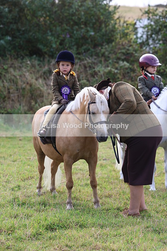 3E7A3797 - Class 2: Lead rein