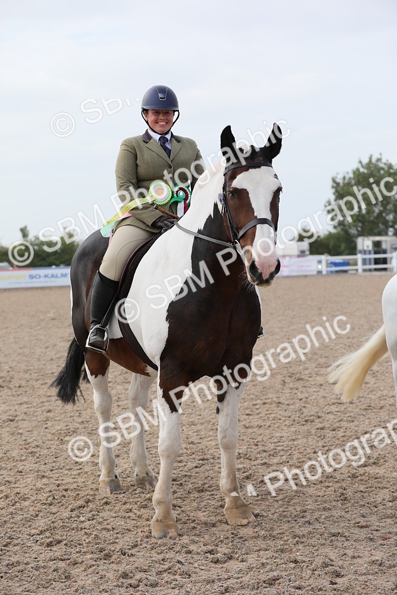 SBM_17052 - Class 314 Family Horse/Pony