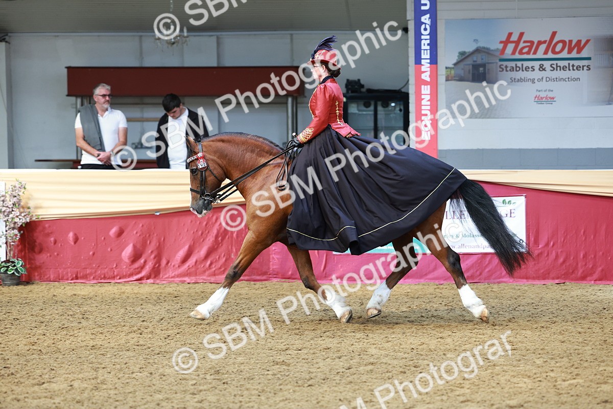 SBM_14808 - Class 107 - Ridden Costume - Astride Adult  (20+)